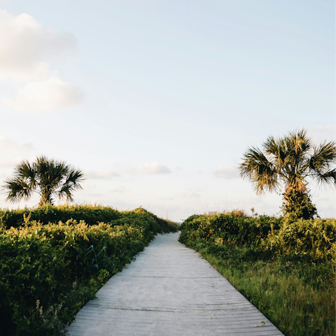Begin your stay in Forest Beach with a stroll or cycle along the oceanfront