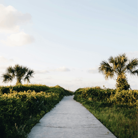 Begin your stay in Forest Beach with a stroll or cycle along the oceanfront