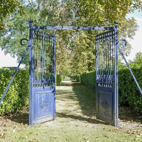 Wander through the estate's vineyards