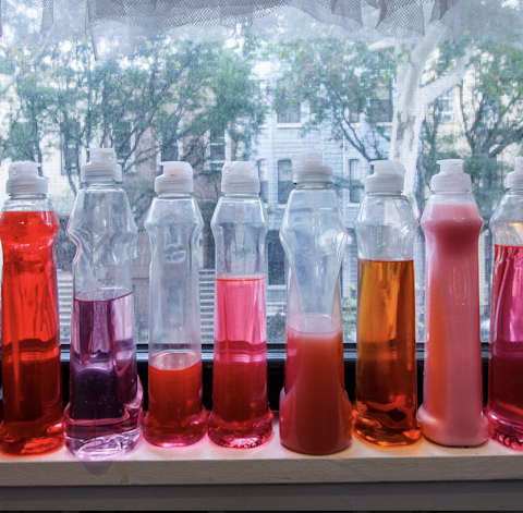 The owner's artistic collection of detergents