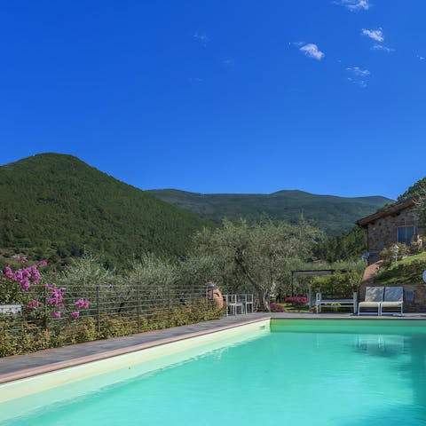 Take a refreshing dip in the glittering blue swimming pool