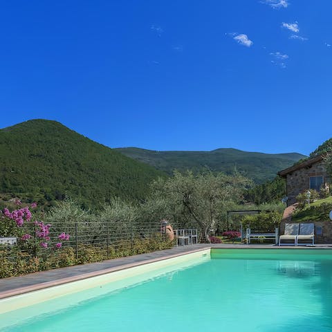 Take a refreshing dip in the glittering blue swimming pool