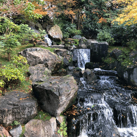 Visit the Kyoto Garden in Holland Park, a seventeen-minute walk away