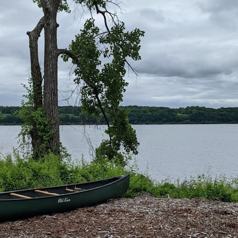 Experience the magic of the Hudson River with a boat trip
