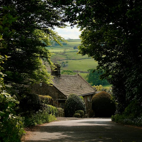 Explore local woodland and picturesque villages