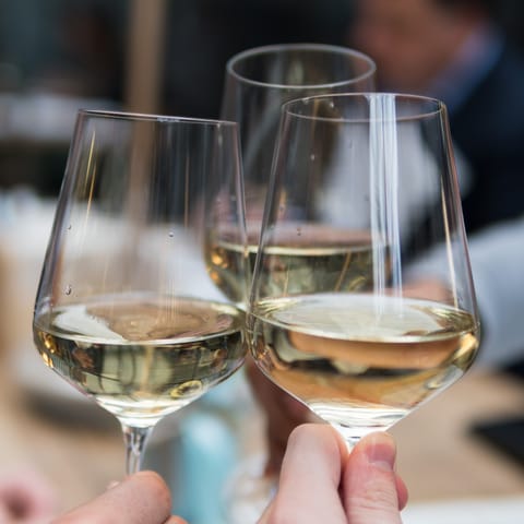 Taste the local region's most celebrated export with a sherry wine tasting organised through the host