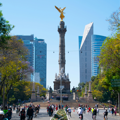 Stay in the vibrant neighbourhood of La Condesa