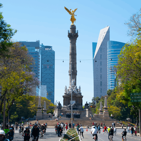Stay in the vibrant neighbourhood of La Condesa