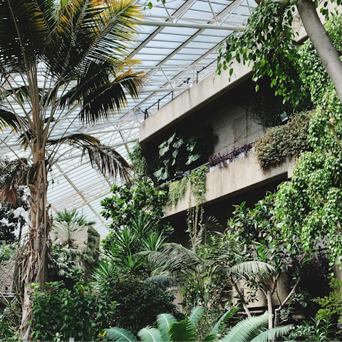 Spend an afternoon or an evening at the Barbican