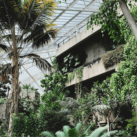 Spend an afternoon or an evening at the Barbican