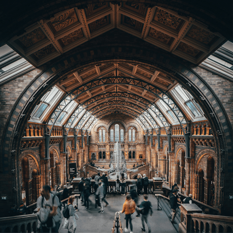 Visit the Natural History Museum, twenty minutes away