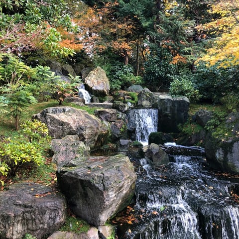 Take an afternoon stroll through Holland Park, a three-minute walk away