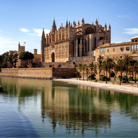 Explore sophisticated Palma with its fine dining restaurants, chic boutiques and renowned art galleries