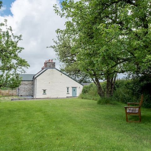 Relax amid the peaceful nature of the garden