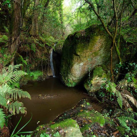 Explore local trails around Lucca and the nearby babbling brook
