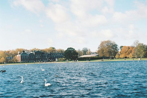 Wander Hyde Park's 350 acres of gardens, lakes, and open green space