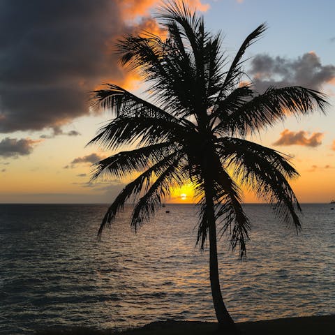 Go for a scenic drive along Barbados' stunning Platinum Coast