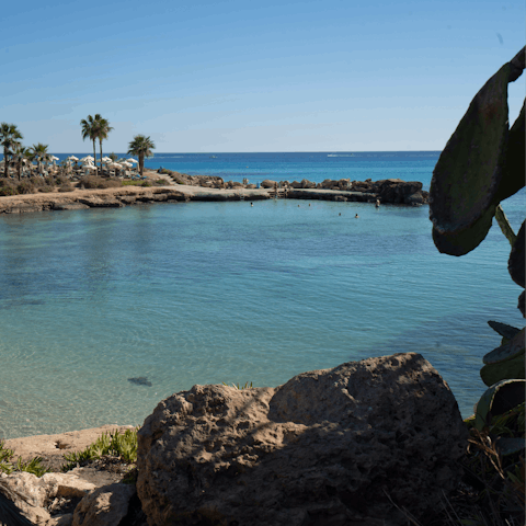 Swim the shallow waters off of Trinity Beach, just 600m away