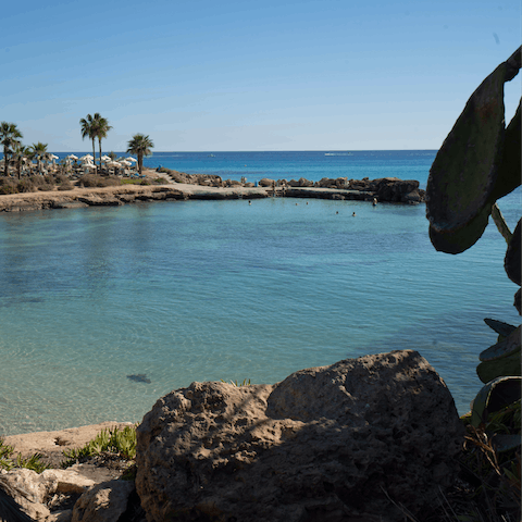 Swim the shallow waters off of Trinity Beach, just 600m away