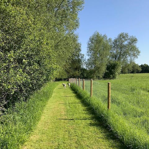 Explore the countryside from the nearby public footpaths