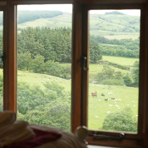 Wake up to magnificent green vistas each morning