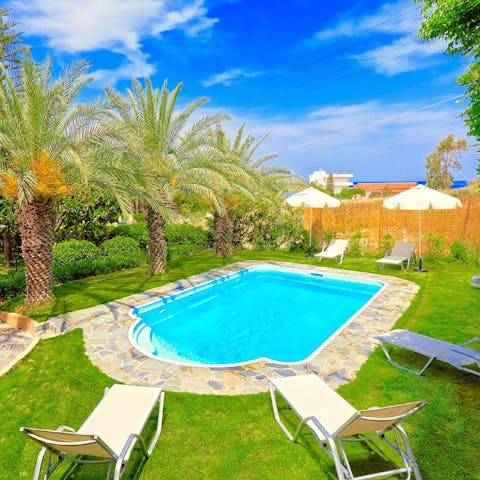 Take a plunge in the palm-fringed pool
