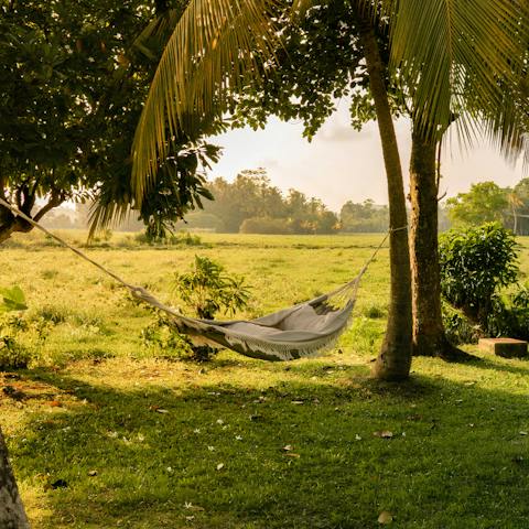 Doze off in the hammock after a busy morning spent exploring