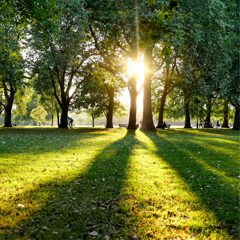 Begin your day with a refreshing stroll through Hyde Park