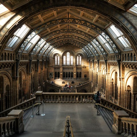Spend an inspiring afternoon at the Natural History Museum