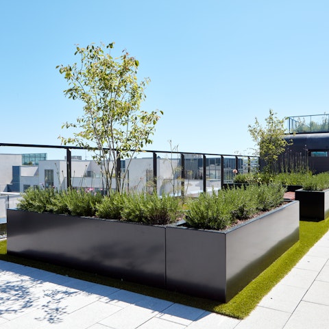 Admire an Irish sunset from the shared roof terrace