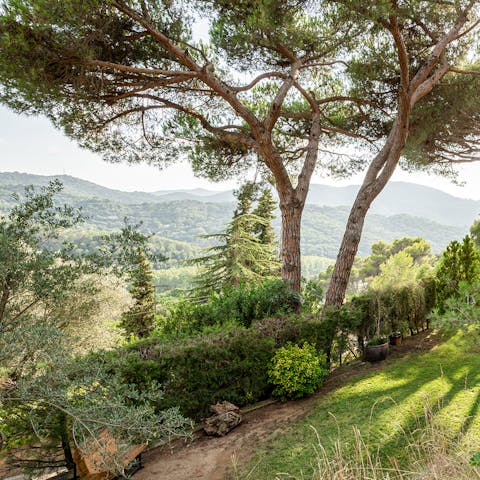 Gaze across the landscape from your unique hillside spot