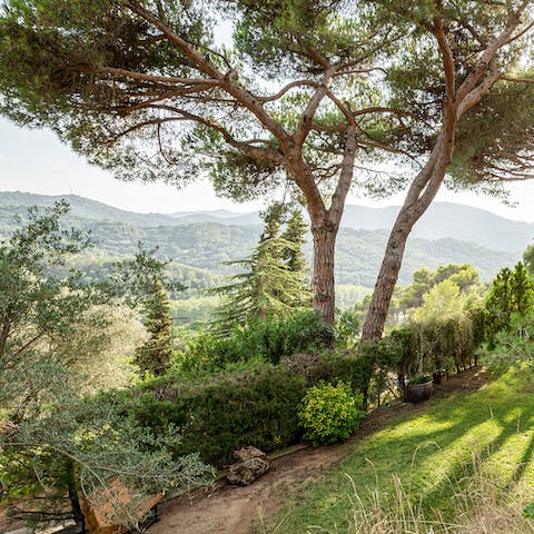 Gaze across the landscape from your unique hillside spot