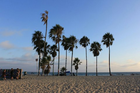Hang out on Venice Beach, just a short walk away