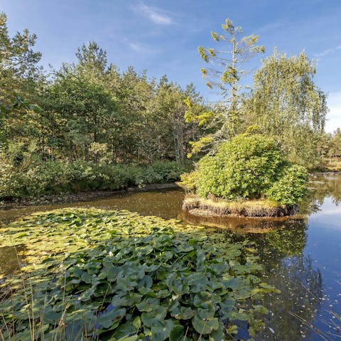Keep an eye out for otters while fishing for trout and salmon five minutes away