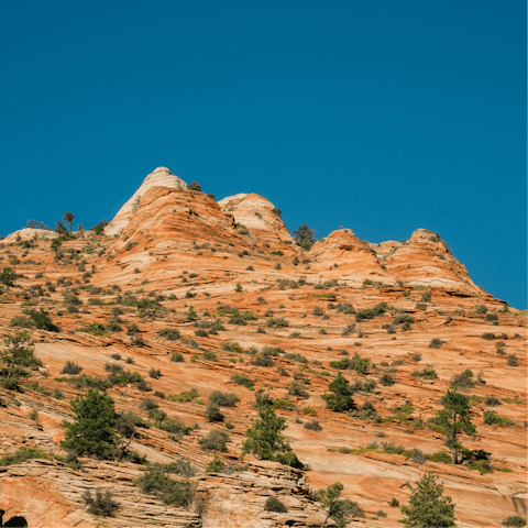 Enjoy an unforgettable mountain adventure in Utah