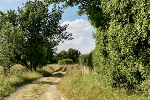 Wander the footpaths on the farm and across the countryside.