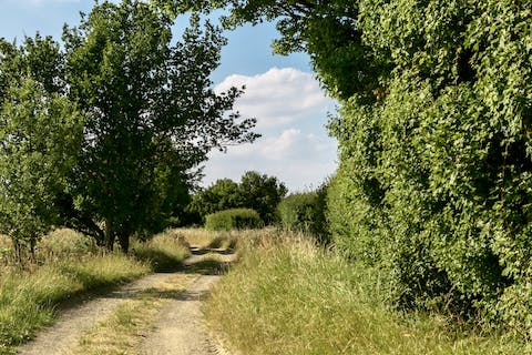 Wander the footpaths on the farm and across the countryside.
