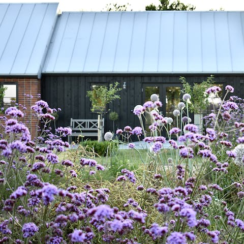 Enjoy picnics and barbecues in the wildflower meadow