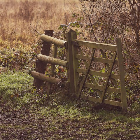 Overlook the fields of the Roding Valley