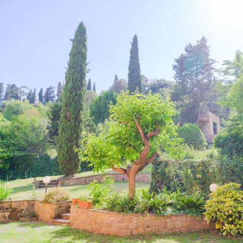 Spend peaceful afternoons relaxing in the garden