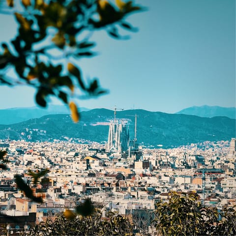 Explore the city from its most central neighbourhood