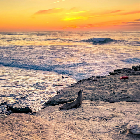 Stroll to La Jolla Cove in twenty minutes