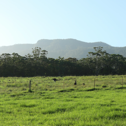 Stay in the heart of beautiful Kangaroo Valley