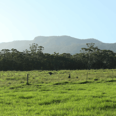 Stay in the heart of beautiful Kangaroo Valley