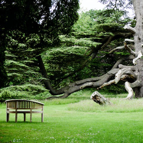 Find a quiet corner to read a few chapters of your book