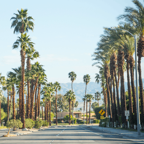 Soak up the unique Palm Springs atmosphere – it's less than fifteen minutes to downtown