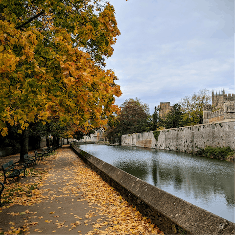 Jump in the car and head to picture-perfect Wells, England's smallest city – less than half an hour's drive away