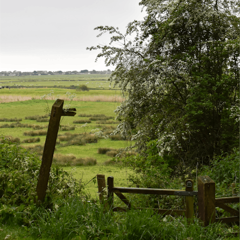 Head off for walks across the marshes
