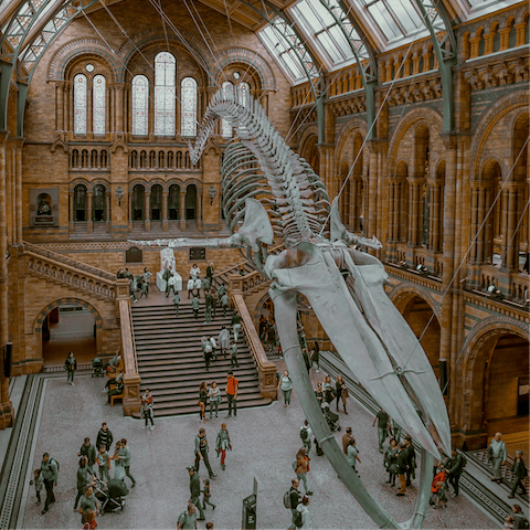 Marvel at the exhibits at the Natural History Museum, around eighteen minutes on foot