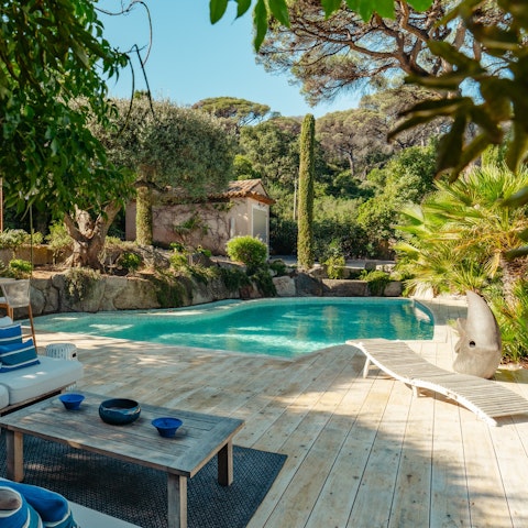 Dive into the private pool surrounded by greenery